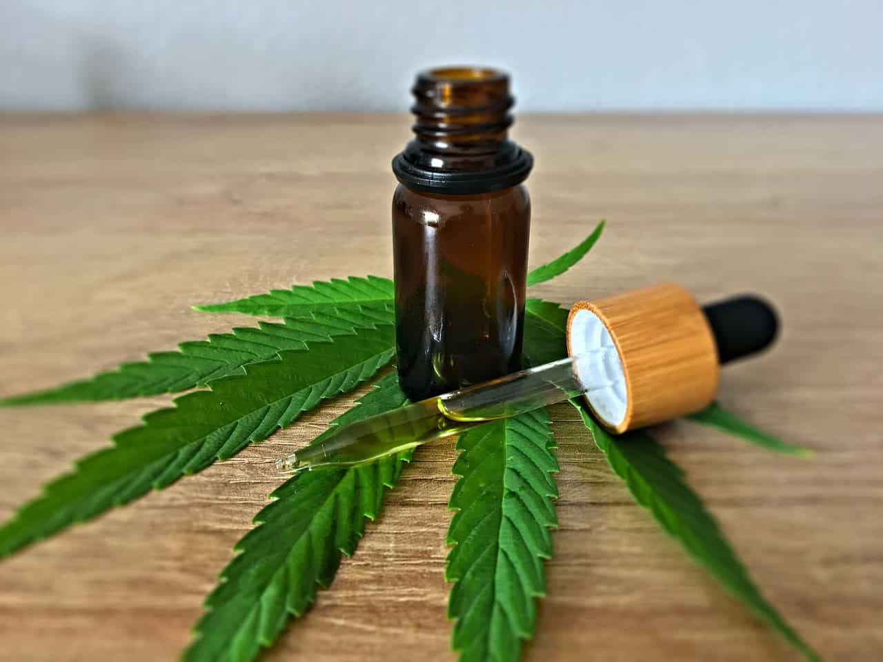 שמן CBD – האם קנאביס באמת מזיק לבריאות?