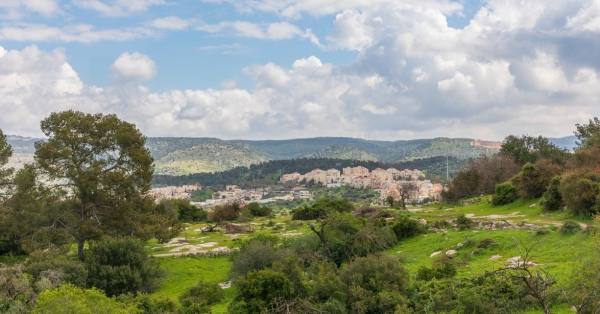 מלחמת העצמאות וכיבוש האזור